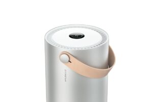 What is an Air purifier and How it works?