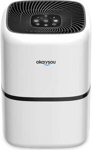 Image showing Okaysou AirMic4S Air Purifier